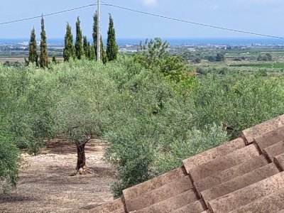 Mindfulness weekend Spanje